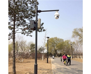吐鲁番路灯监控杆-LB-03